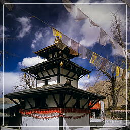 Muktinath (3,800 m), Annapurna circuit (196)