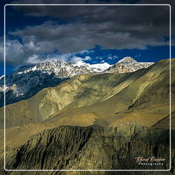 Tour des Annapurnas (211) Jharkot