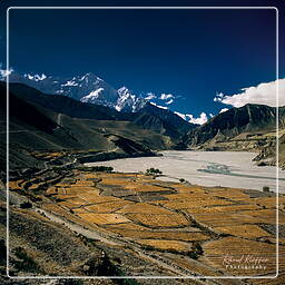 Annapurna circuit (214)