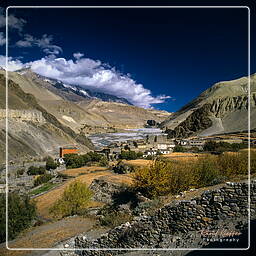 Annapurna circuit (216) Kagbeni