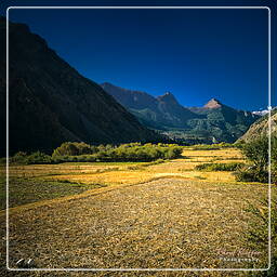 Tour des Annapurnas (228)