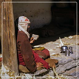 Tukche, Annapurna circuit (231)