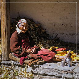 Annapurna circuit (232) Tukche