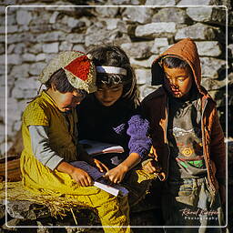 Kalopani, Annapurna circuit (250)