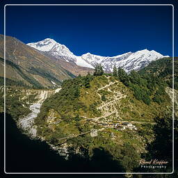 Lete, Annapurna circuit (253)