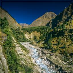 Annapurna Fernwanderweg (254)