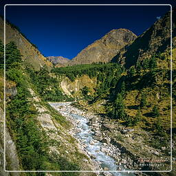 Annapurna circuit (254)