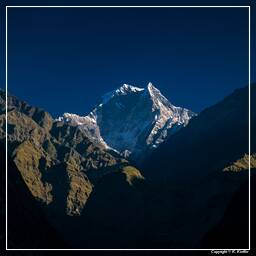 Annapurna Fernwanderweg (257) Nilgiri (7.061 m)