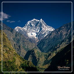 Tour des Annapurnas (266) Nilgiri (7,061 m)