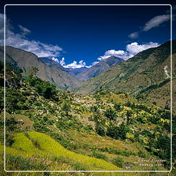 Annapurna circuit (270)