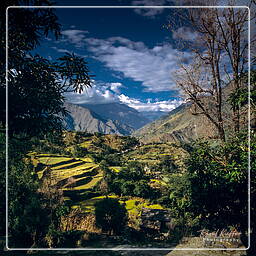 Annapurna circuit (273)