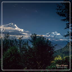 Tour des Annapurnas (275) Dhaulagiri (8 167 m)