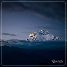 Dhaulagiri (8,167 m), Annapurna circuit (277)