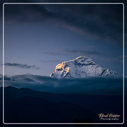 Tour des Annapurnas (277) Dhaulagiri (8 167 m)