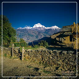 Chitre, Annapurna circuit (278)