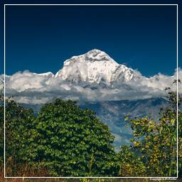 Annapurna Fernwanderweg (283) Dhaulagiri (8.167 m)