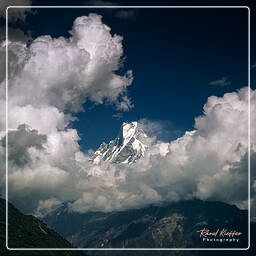 Annapurna Fernwanderweg (284) Machapuchare (6.997 m)