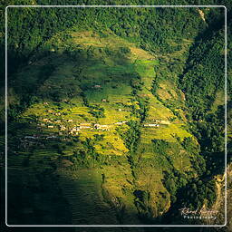 Tour des Annapurnas (287) Landruk