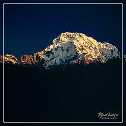 Annapurna Sud, Annapurna circuit (289)