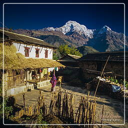 Annapurna Fernwanderweg (292) Ghandruk