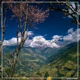 Annapurna Fernwanderweg (296) Landruk