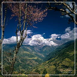 Annapurna Fernwanderweg (296) Landruk