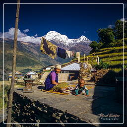 Annapurna Fernwanderweg (297) Landruk