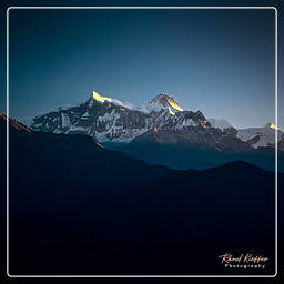 Landruk, Annapurna circuit (298)