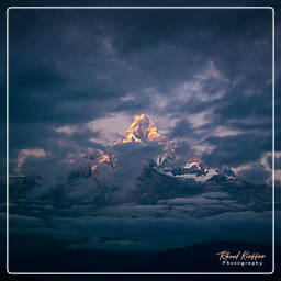 Dhampus, Annapurna circuit (299)