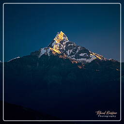 Dhampus, Annapurna circuit (301)