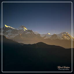 Dhampus, Annapurna circuit (302)