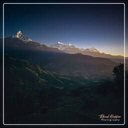 Dhampus, Annapurna circuit (304)