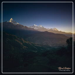 Annapurna circuit (304) Dhampus