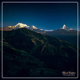 Dhampus, Annapurna circuit (305)