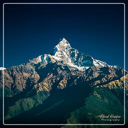 Dhampus, Annapurna circuit (307)