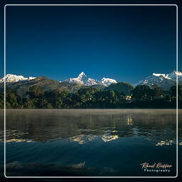 Tour des Annapurnas (310) Pokhara