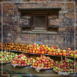 Valle di Katmandu (28) Bhaktapur