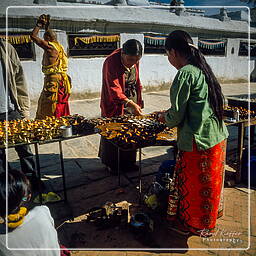 Vale de Catmandu (125) Boudhanath