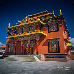 Valle de Katmandú (130) Boudhanath