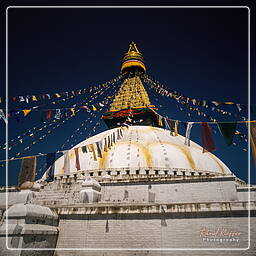 Valle de Katmandú (250) Boudhanath