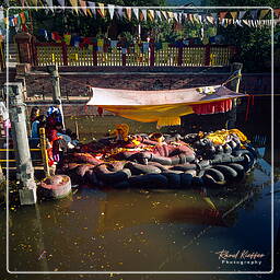 Valle di Katmandu (188) Budhanilkantha