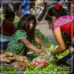 Kathmandutal (32) Kathmandu