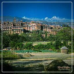 Valle di Katmandu (37)