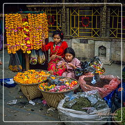 Kathmandu, Kathmandu Valley (101)