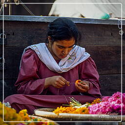 Kathmandu, Kathmandu Valley (102)