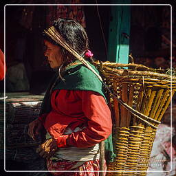 Valle di Katmandu (104) Katmandu