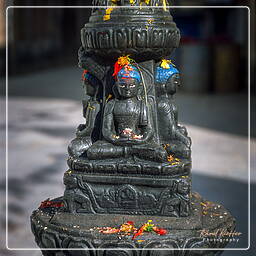 Kathmandu, Kathmandu Valley (137)