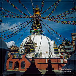 Kathmandu, Kathmandu Valley (138)