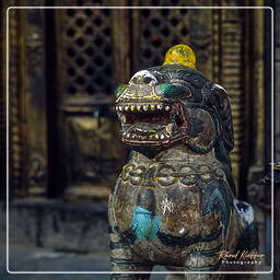 Kathmandu, Kathmandu Valley (139)