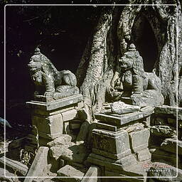 Kirtipur, Kathmandu Valley (77)